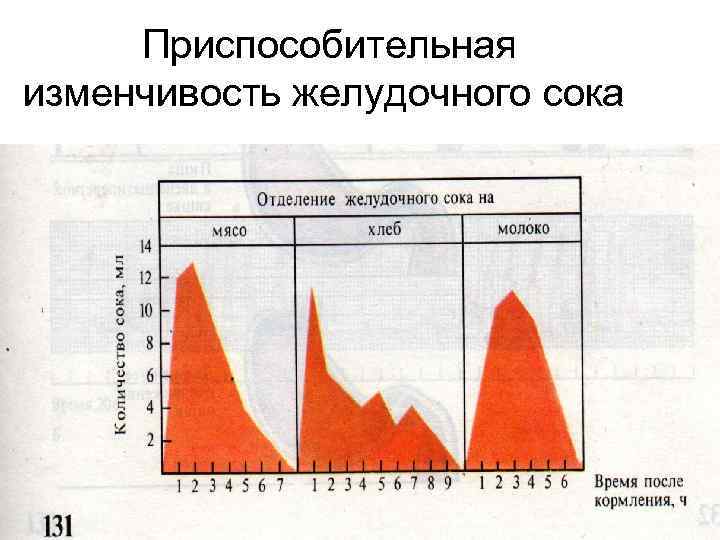  Приспособительная изменчивость желудочного сока 