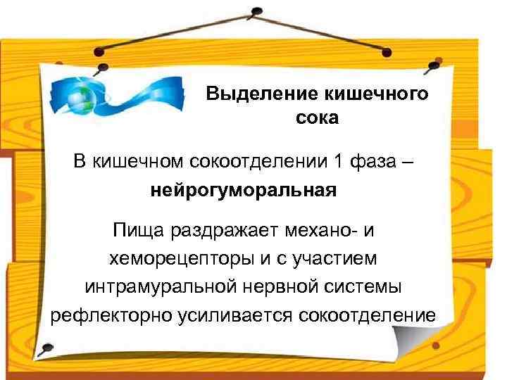 Выделение кишечного сока В кишечном сокоотделении 1 фаза – нейрогуморальная Пища раздражает механо- и