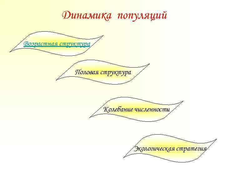 Динамика популяций Возрастная структура Половая структура Колебание численности Экологическая стратегия 