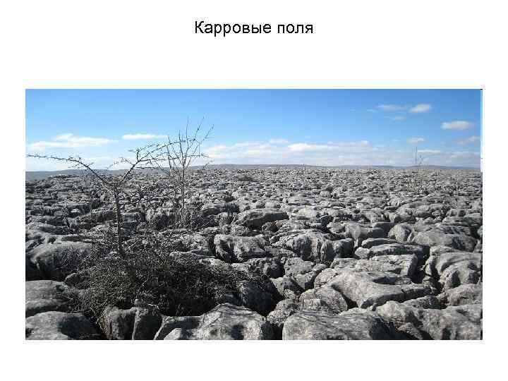 Карровые поля 