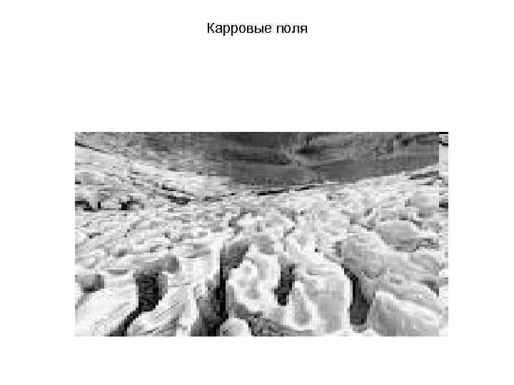 Карровые поля 