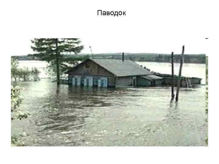 Паводок 