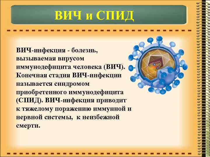ВИЧ и СПИД ВИЧ-инфекция - болезнь, вызываемая вирусом иммунодефицита человека (ВИЧ). Конечная стадия ВИЧ-инфекции
