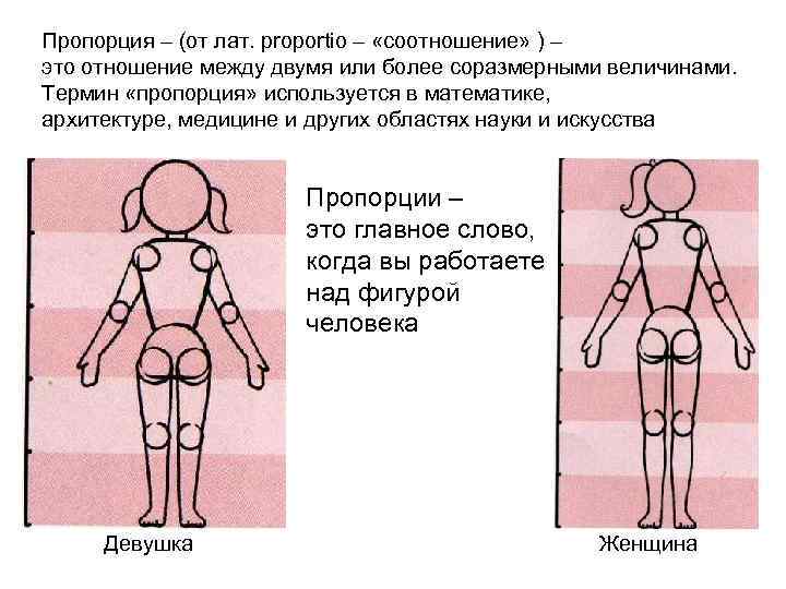 Пропорция – (от лат. proportio – «соотношение» ) – это отношение между двумя или