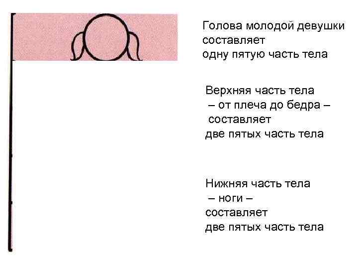 Голова молодой девушки составляет одну пятую часть тела Верхняя часть тела – от плеча