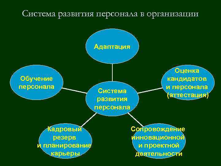 Обучение и развитие персонала в организации презентация