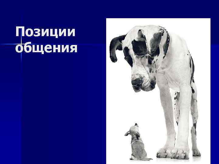Позиции общения 
