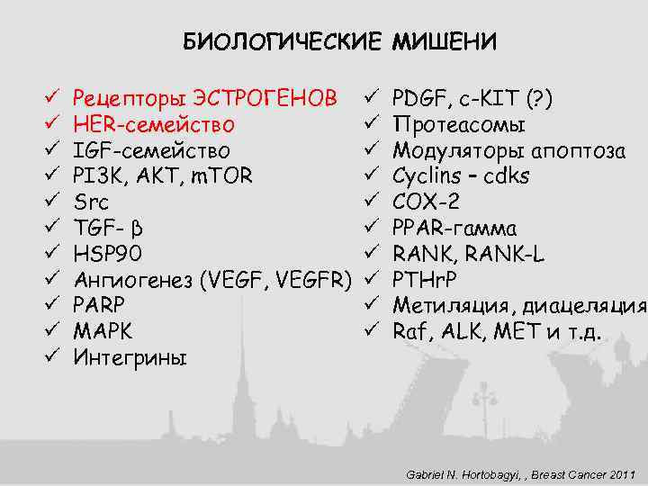 БИОЛОГИЧЕСКИЕ МИШЕНИ ü ü ü Рецепторы ЭСТРОГЕНОВ HER-семейство IGF-семейство PI 3 K, AKT, m.