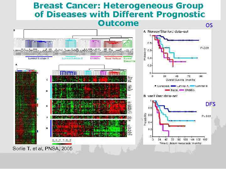 Breast Cancer: Heterogeneous Group of Diseases with Different Prognostic Outcome OS DFS Sorlie T.