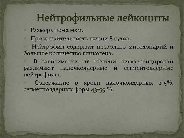 Нейтрофильные лейкоциты Размеры 10 -12 мкм. Продолжительность жизни 8 суток. Нейтрофил содержит несколько митохондрий