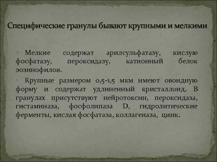 Специфические гранулы бывают крупными и мелкими Мелкие содержат арилсульфатазу, пероксидазу, катионный кислую белок фосфатазу,