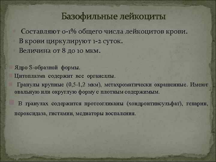 Базофильные лейкоциты Составляют 0 -1% общего числа лейкоцитов крови. В крови циркулируют 1 -2
