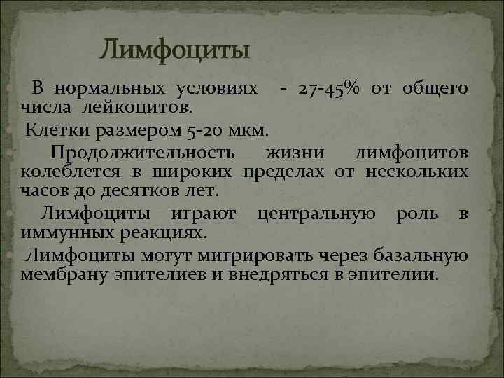 Лимфоциты В нормальных условиях - 27 -45% от общего числа лейкоцитов. Клетки размером 5