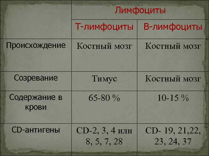 Лимфоциты Т-лимфоциты В-лимфоциты Происхождение Костный мозг Созревание Тимус Костный мозг Содержание в крови 65