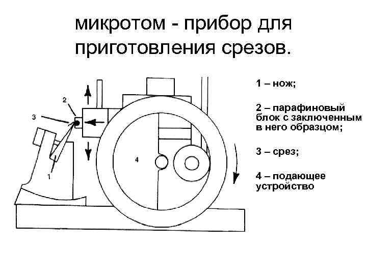 микротом - прибор для приготовления срезов. • 1 – нож; • 2 – парафиновый