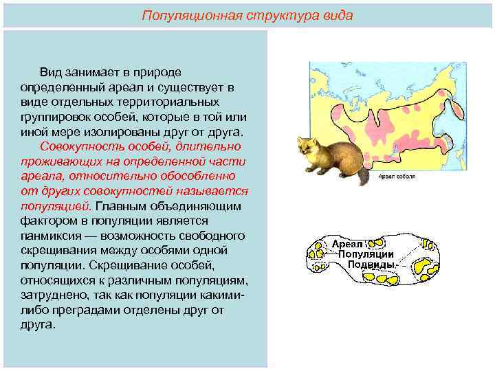 Ареал занимаемый видом это критерий