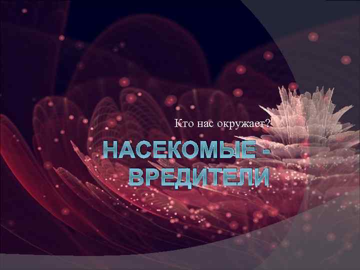 Кто нас окружает? НАСЕКОМЫЕ ВРЕДИТЕЛИ 