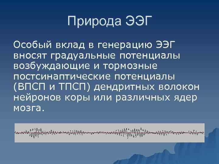  Природа ЭЭГ Особый вклад в генерацию ЭЭГ вносят градуальные потенциалы возбуждающие и тормозные