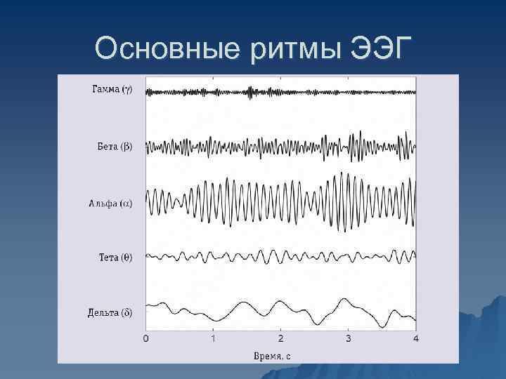  Амплитудно-частотный спектр ЭЭГ Представляет собой зависимость амплитуд спектральных гармоник (по Y) от частоты