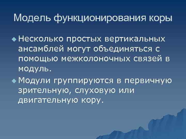 Модель функционирования коры u Несколько простых вертикальных ансамблей могут объединяться с помощью межколоночных связей