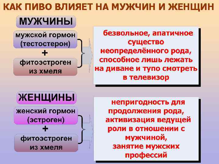 КАК ПИВО ВЛИЯЕТ НА МУЖЧИН И ЖЕНЩИН 