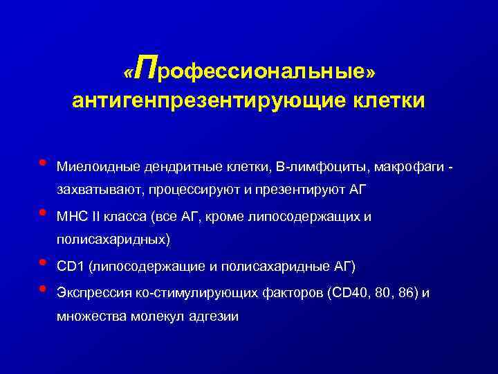 Профессиональные» « антигенпрезентирующие клетки • Миелоидные дендритные клетки, В-лимфоциты, макрофаги захватывают, процессируют и презентируют