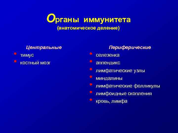 Органы иммунитета (анатомическое деление) • • Центральные тимус костный мозг • • Периферические селезенка