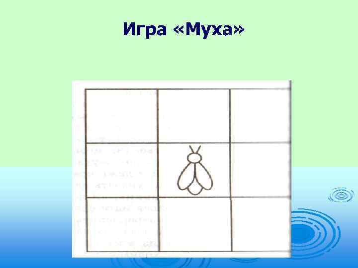 Игра «Муха» 