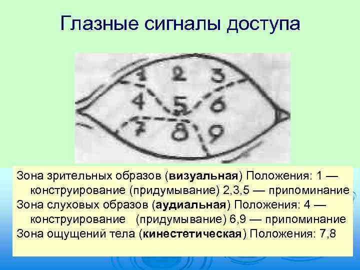 Глазные сигналы доступа Зона зрительных образов (визуальная) Положения: 1 — конструирование (придумывание) 2, 3,