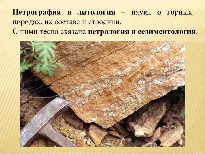 Петрография и литология – науки о горных породах, их составе и строении. С ними