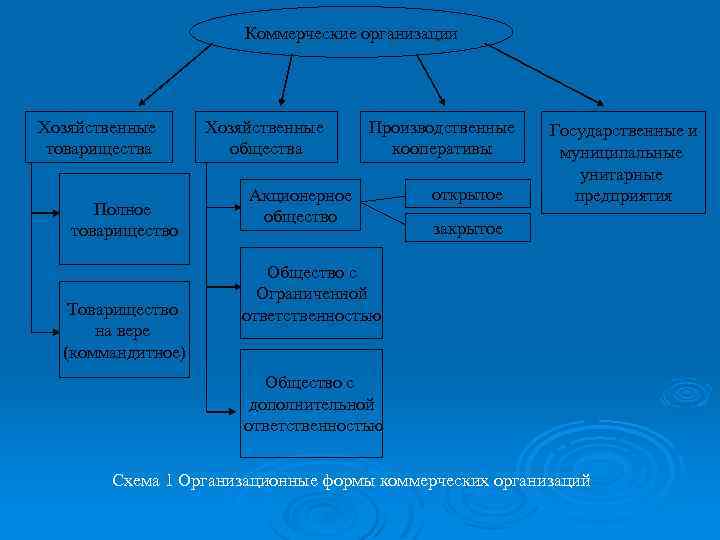 Коммерческие организации Хозяйственные товарищества Полное товарищество Товарищество на вере (коммандитное) Хозяйственные общества Производственные кооперативы