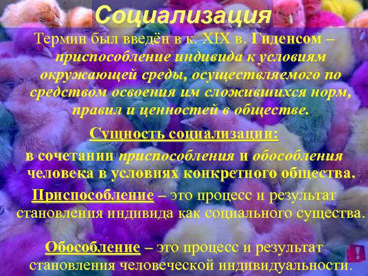 Социализация Термин был введён в к. XIX в. Гиденсом – приспособление индивида к условиям