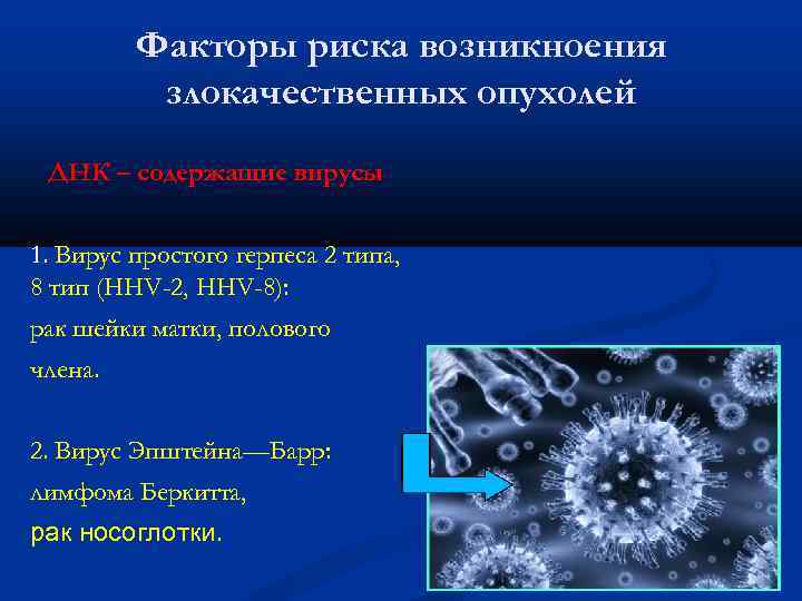 Факторы риска возникноения злокачественных опухолей ДНК – содержащие вирусы 1. Вирус простого герпеса 2