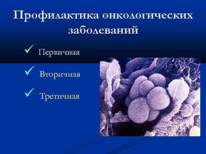 Профилактика онкологических заболеваний ü Первичная ü Вторичная ü Третичная 