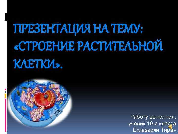 ПРЕЗЕНТАЦИЯ НА ТЕМУ: «СТРОЕНИЕ РАСТИТЕЛЬНОЙ КЛЕТКИ» . Работу выполнил: ученик 10 -а класса Егиазарян