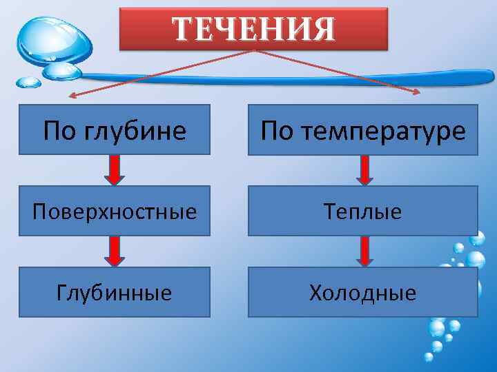 Назовите виды океанических течений и приведите их