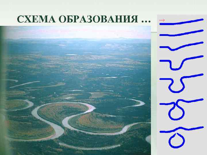 СХЕМА ОБРАЗОВАНИЯ … 