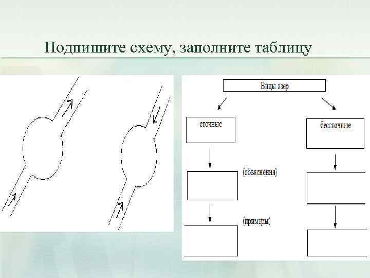 Подпишите схему, заполните таблицу 