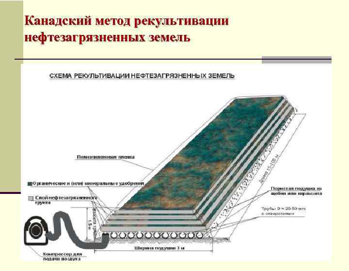 Канадский метод рекультивации нефтезагрязненных земель 