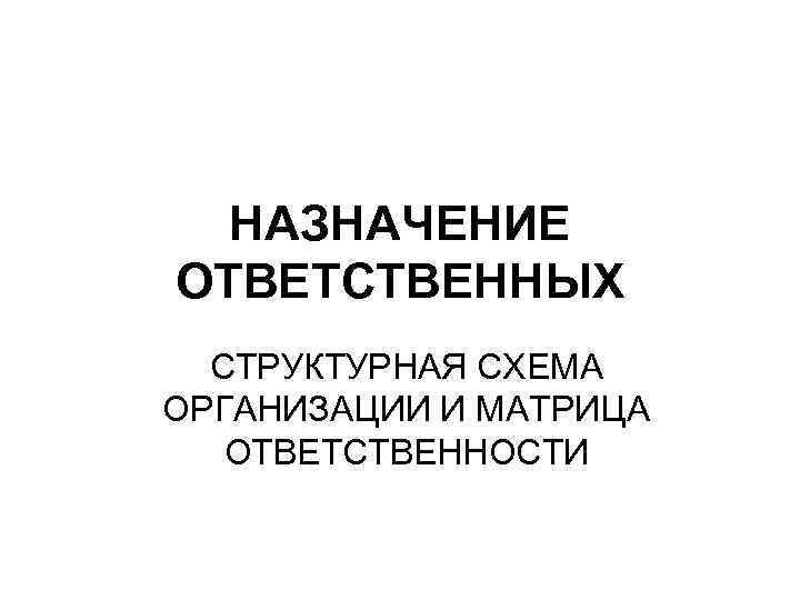 НАЗНАЧЕНИЕ ОТВЕТСТВЕННЫХ СТРУКТУРНАЯ СХЕМА ОРГАНИЗАЦИИ И МАТРИЦА ОТВЕТСТВЕННОСТИ 