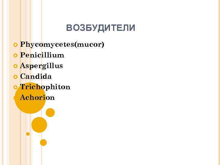 ВОЗБУДИТЕЛИ Phycomycetes(mucor) Penicillium Aspergillus Candida Trichophiton Achorion 