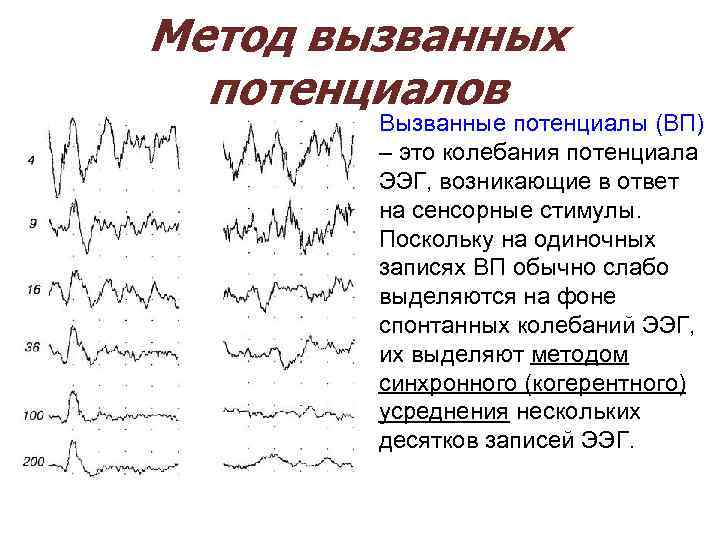 Метод вызванных потенциалов Вызванные потенциалы (ВП) – это колебания потенциала ЭЭГ, возникающие в ответ