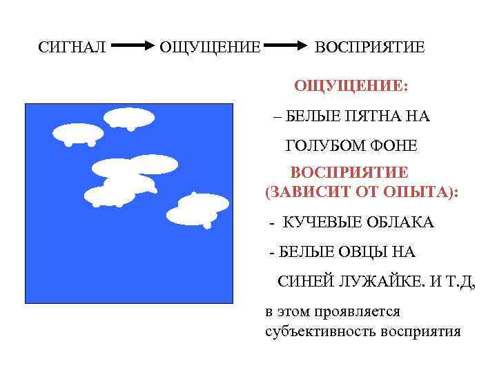 СИГНАЛ ОЩУЩЕНИЕ ВОСПРИЯТИЕ ОЩУЩЕНИЕ: – БЕЛЫЕ ПЯТНА НА ГОЛУБОМ ФОНЕ ВОСПРИЯТИЕ (ЗАВИСИТ ОТ ОПЫТА):