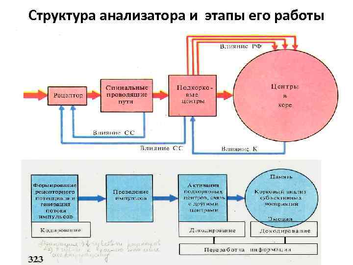 Общая схема анализаторов