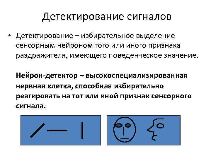  Детектирование сигналов • Детектирование – избирательное выделение сенсорным нейроном того или иного признака