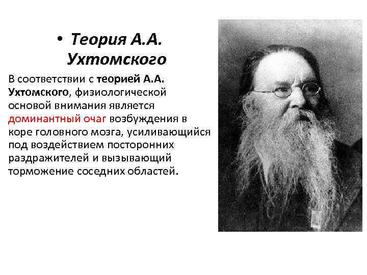  • Теория А. А. Ухтомского В соответствии с теорией А. А. Ухтомского, физиологической