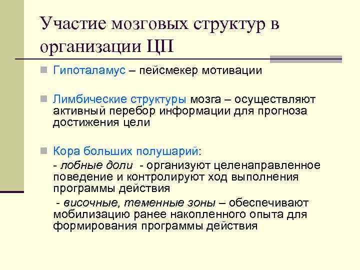 Участие мозговых структур в организации ЦП n Гипоталамус – пейсмекер мотивации n Лимбические структуры