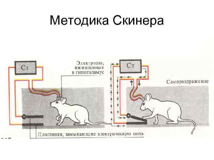Методика Скинера 