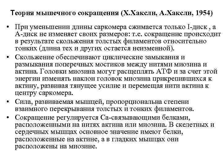 Теория мышечного сокращения (Х. Хаксли, А. Хаксли, 1954) • При уменьшении длины саркомера сжимается