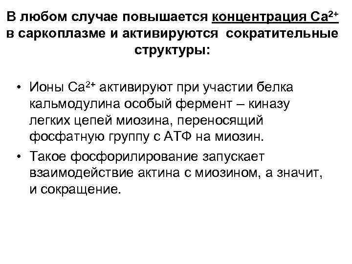 В любом случае повышается концентрация Са 2+ в саркоплазме и активируются сократительные структуры: •